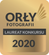 Laureat konkursu